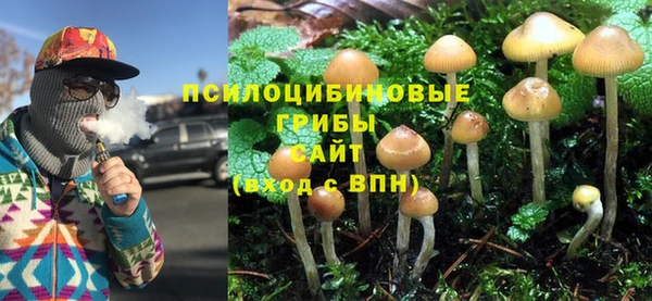 apvp Армянск