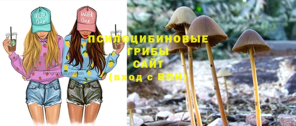 apvp Армянск