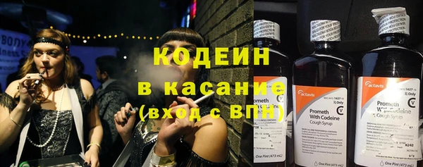 эйфоретик Аркадак