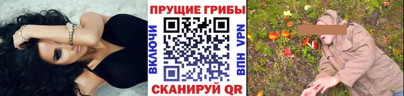 мориарти телеграм  Сковородино  Псилоцибиновые грибы прущие грибы 